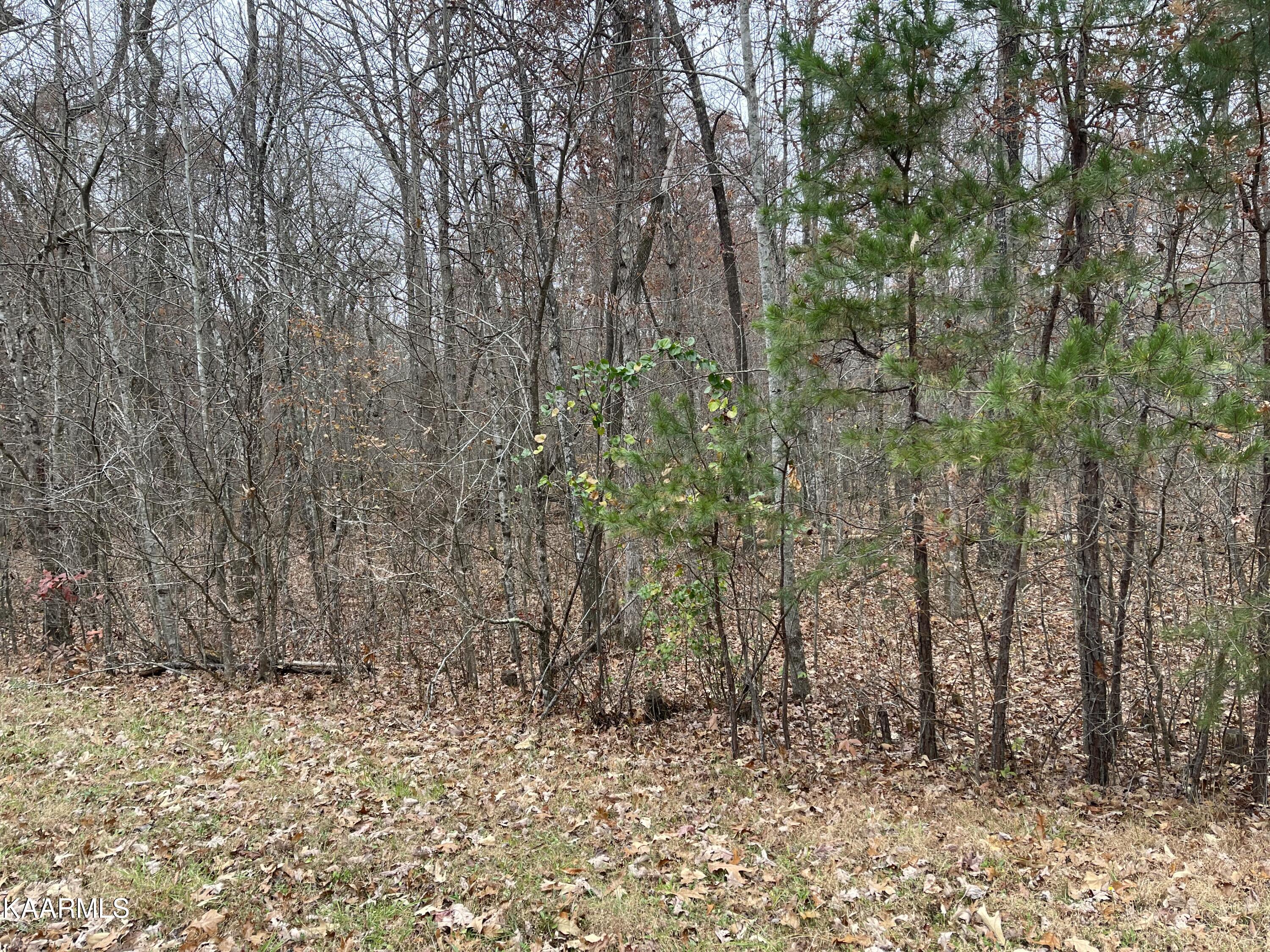 East Overlook Road, Unit 6 Monterey, TN 38574 - Photo 3 of 3 138546F6-C6A5-4EF9-8508-DB1E7E5C143D