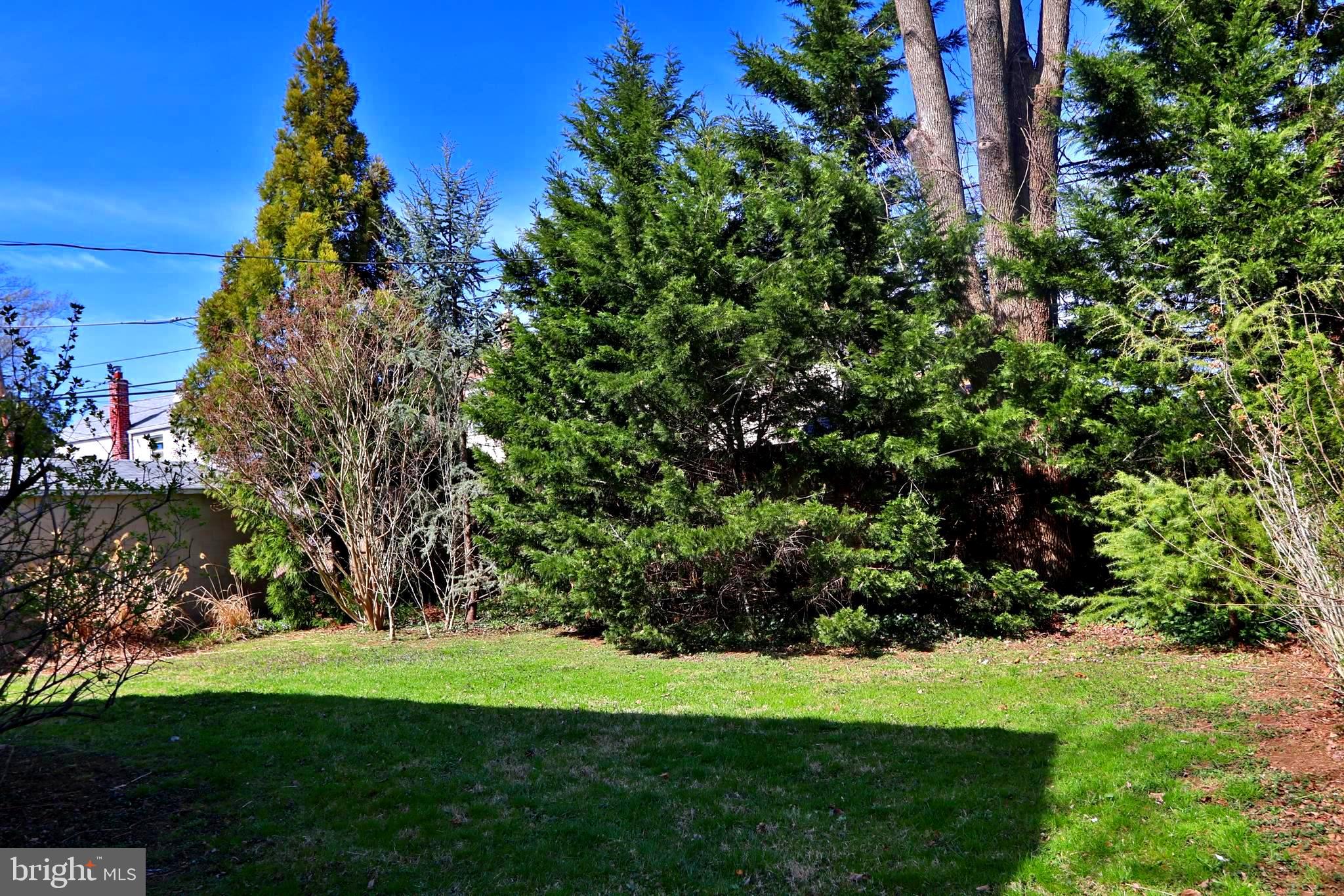 815 Springfield Road Aldan, PA 19018 - Photo 52 of 59 Gallery Image 52