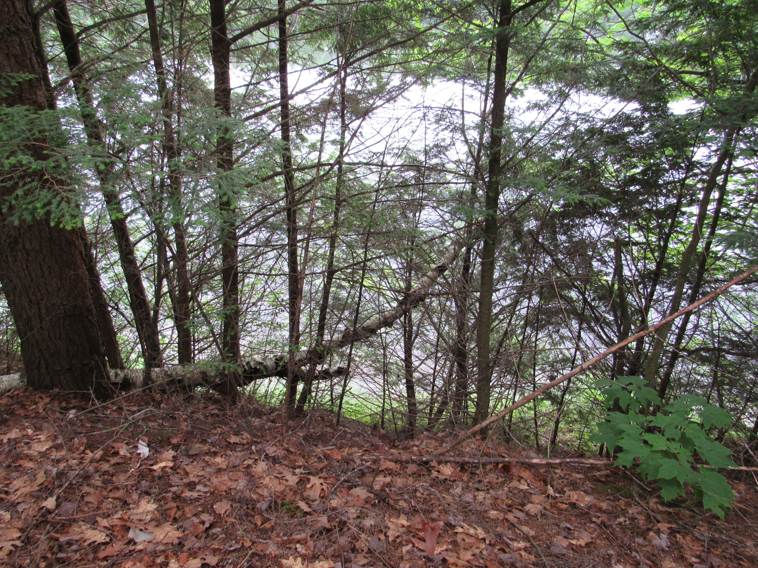 M6-l54 Bombazee Road Norridgewock, ME 04957 - Photo 3 of 11 IMG_4067