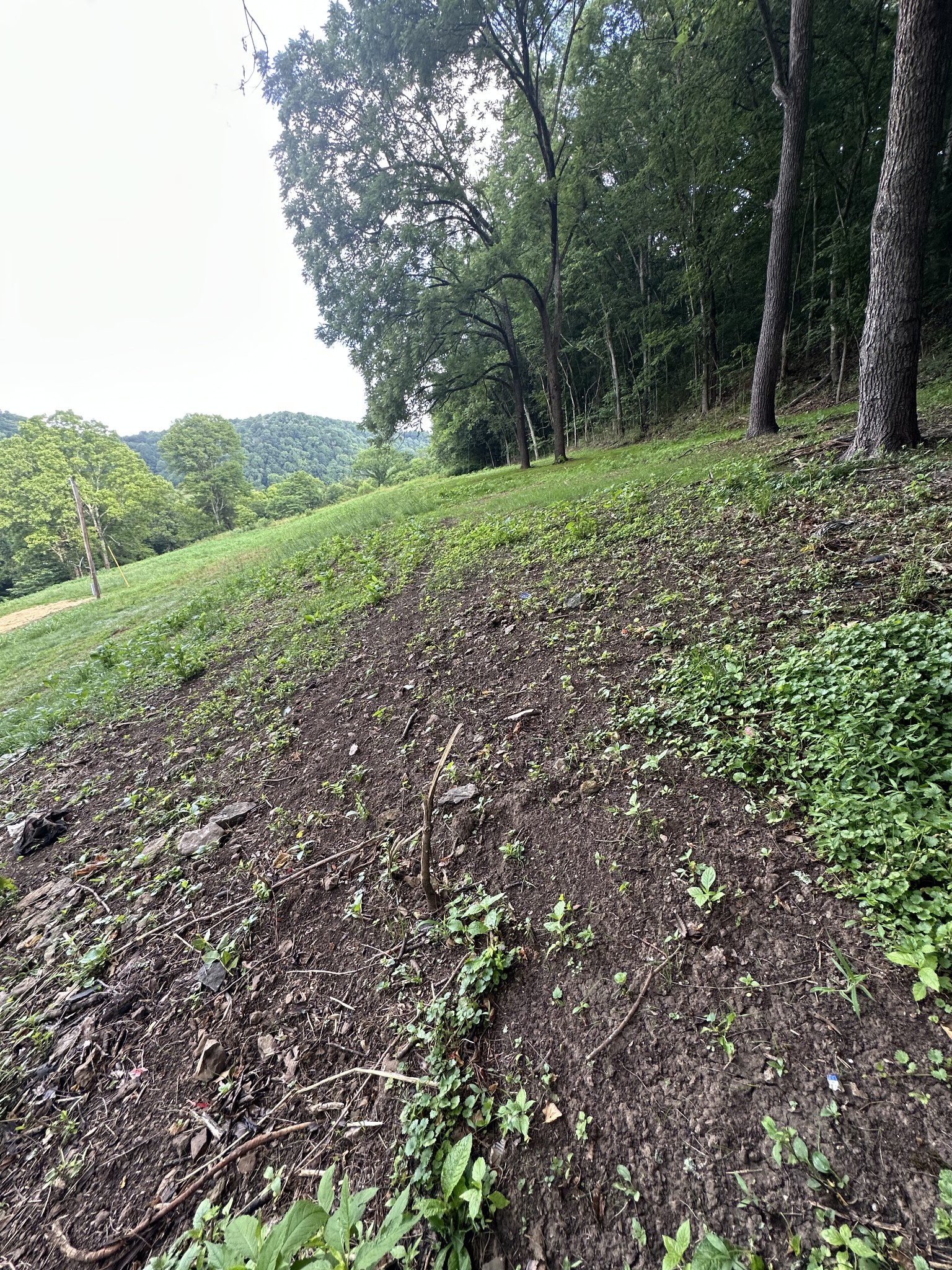 45 Friendship Hollow Road Pleasant Shade, TN 37145 - Photo 14 of 15