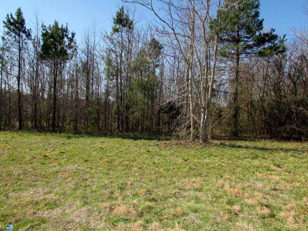 Allie Clay Road Roxboro, NC 27573 - Photo 13 of 23 Starting left to right this would be middle of road frontage. Land