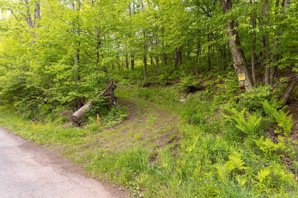 1361 Weaver Hollow Road Andes, NY 12455 - Photo 4 of 23