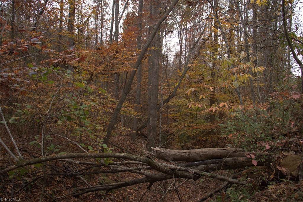 0 Griffin Road Madison, NC 27025 - Photo 11 of 27