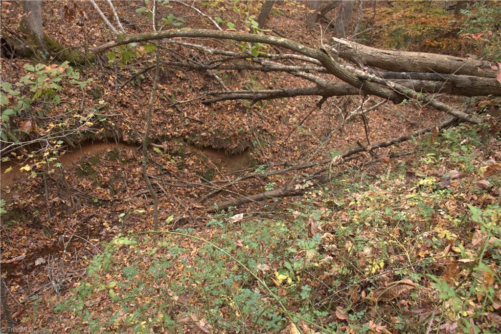 0 Griffin Road Madison, NC 27025 - Photo 12 of 27