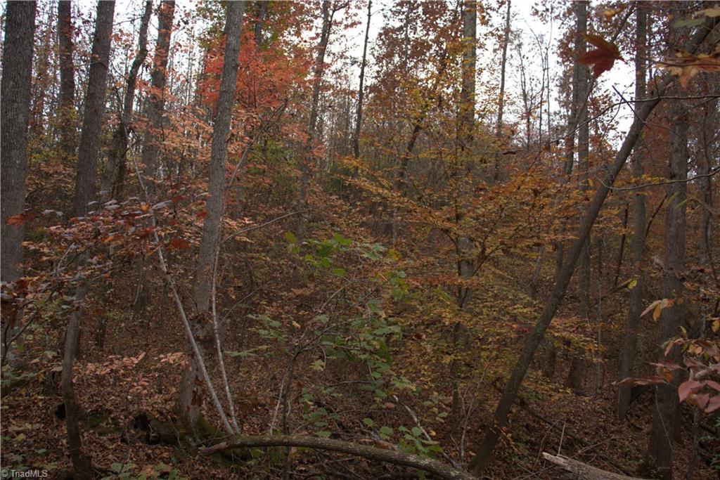 0 Griffin Road Madison, NC 27025 - Photo 13 of 27