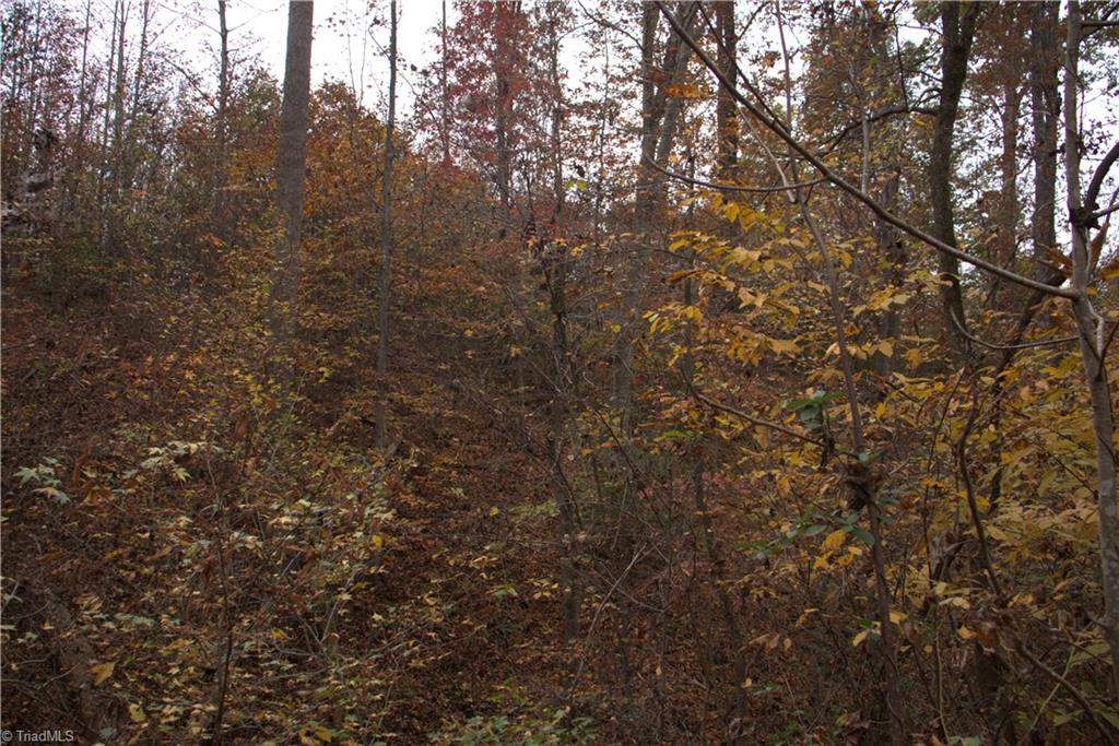 0 Griffin Road Madison, NC 27025 - Photo 14 of 27