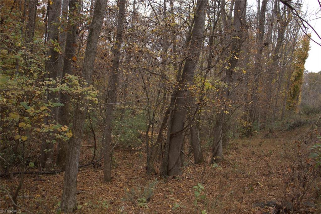 0 Griffin Road Madison, NC 27025 - Photo 15 of 27