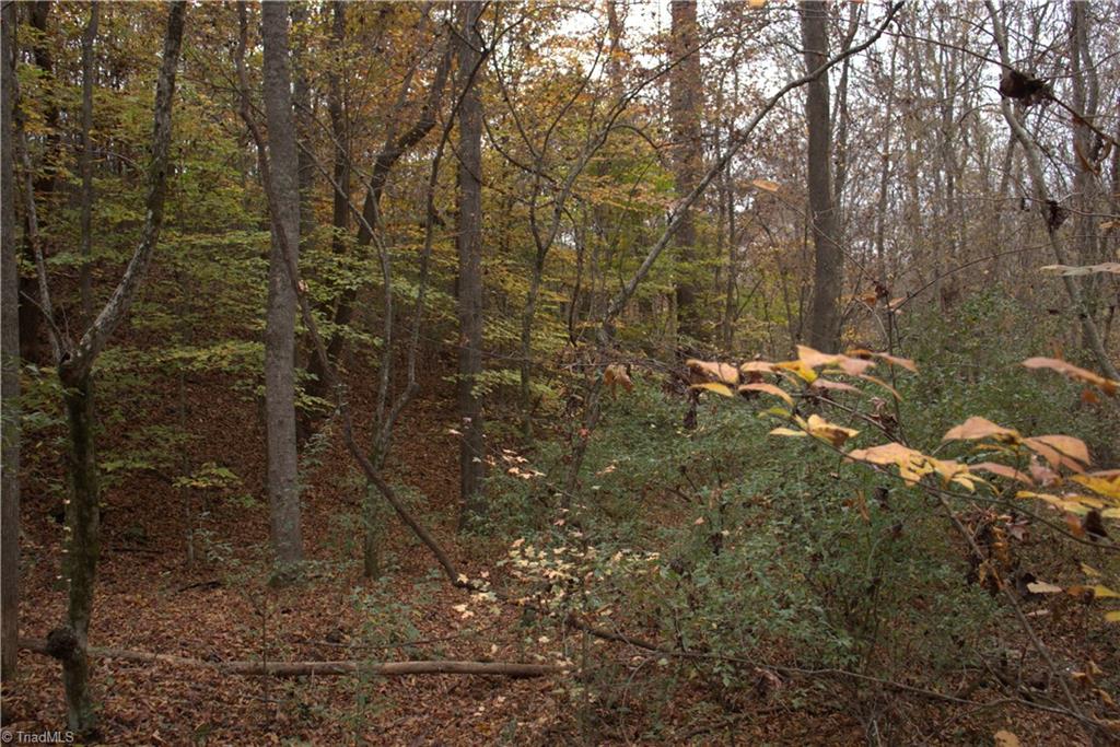 0 Griffin Road Madison, NC 27025 - Photo 16 of 27