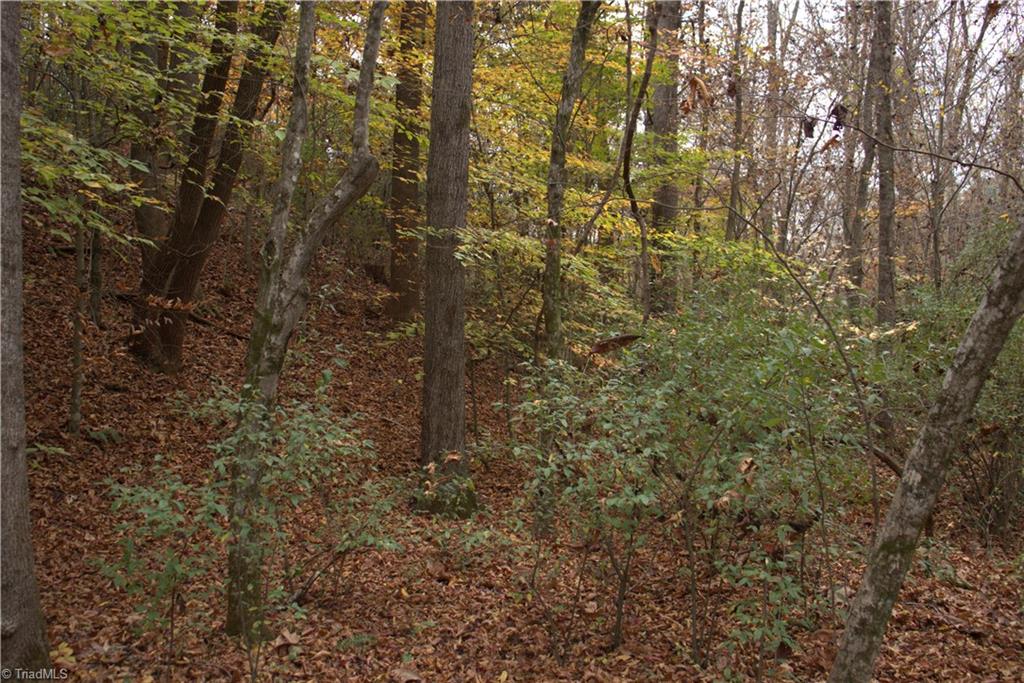 0 Griffin Road Madison, NC 27025 - Photo 21 of 27