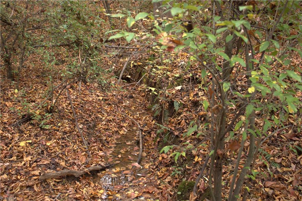 0 Griffin Road Madison, NC 27025 - Photo 24 of 27