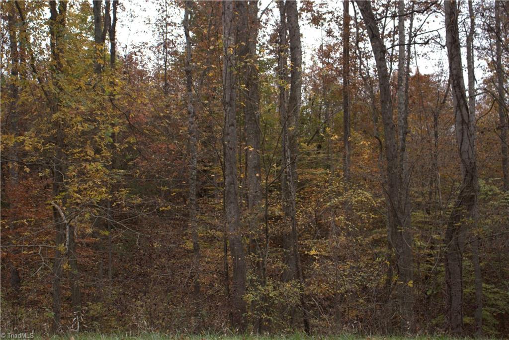 0 Griffin Road Madison, NC 27025 - Photo 26 of 27