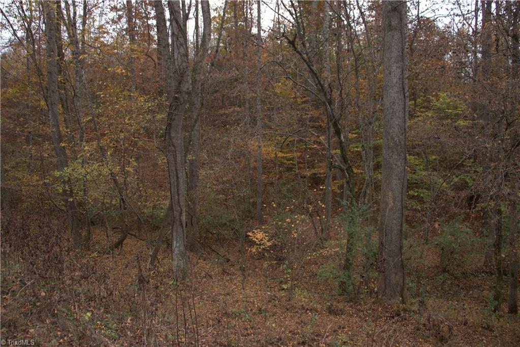 0 Griffin Road Madison, NC 27025 - Photo 4 of 27