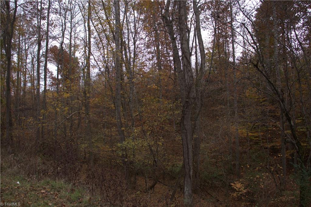 0 Griffin Road Madison, NC 27025 - Photo 5 of 27