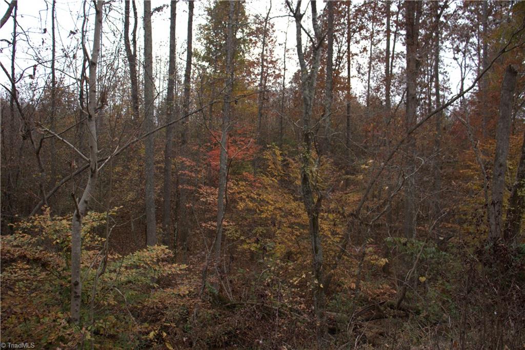 0 Griffin Road Madison, NC 27025 - Photo 6 of 27