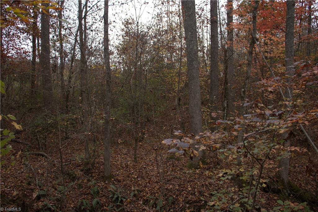 0 Griffin Road Madison, NC 27025 - Photo 10 of 27