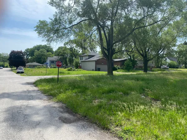 a view of a park with large trees