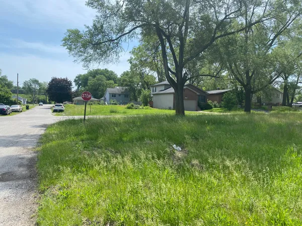 a view of a park with large trees