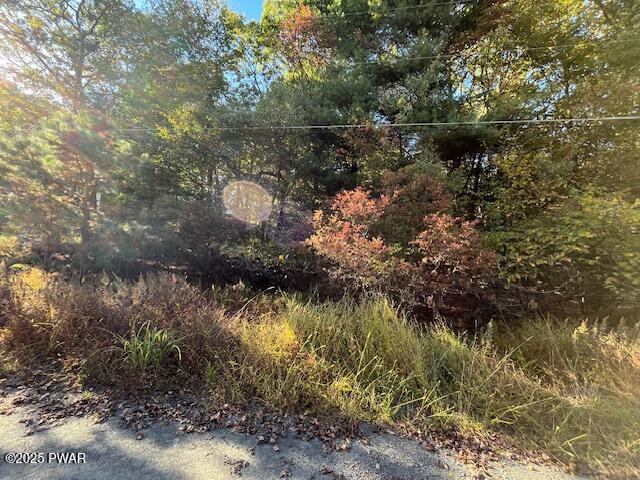 Lot 250 Squirrel Road Dingmans Ferry, PA 18328 - Photo 4 of 8