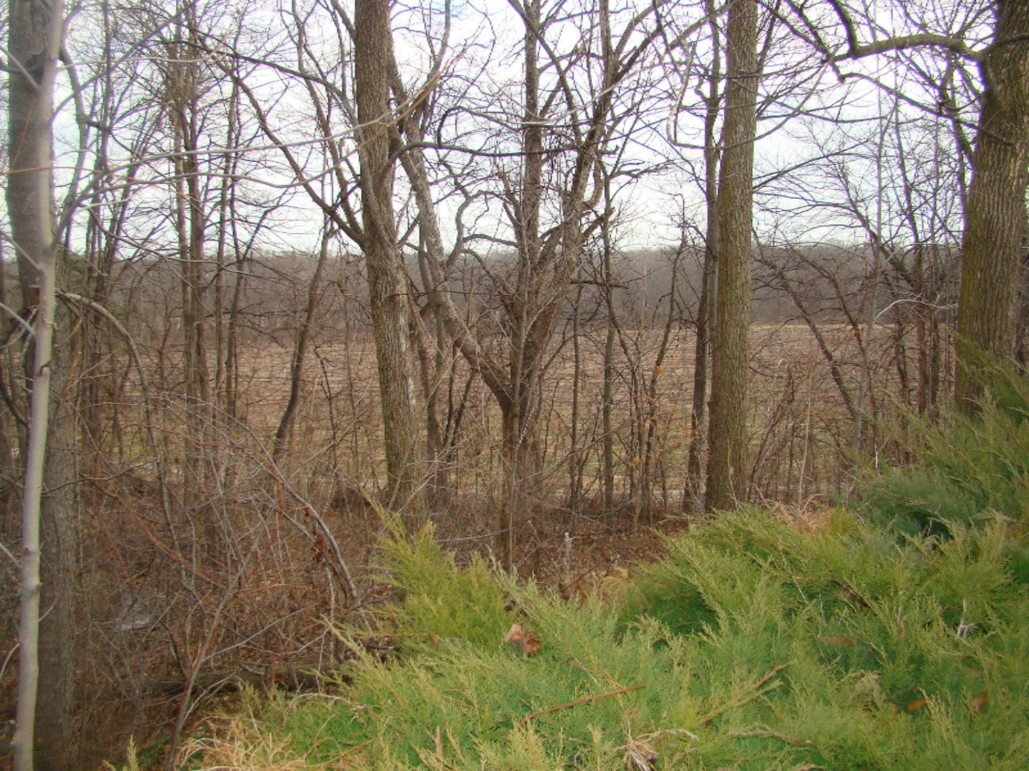 2053 Miners Road St. Joseph, MI 49085 - Photo 50 of 62 DSC04710