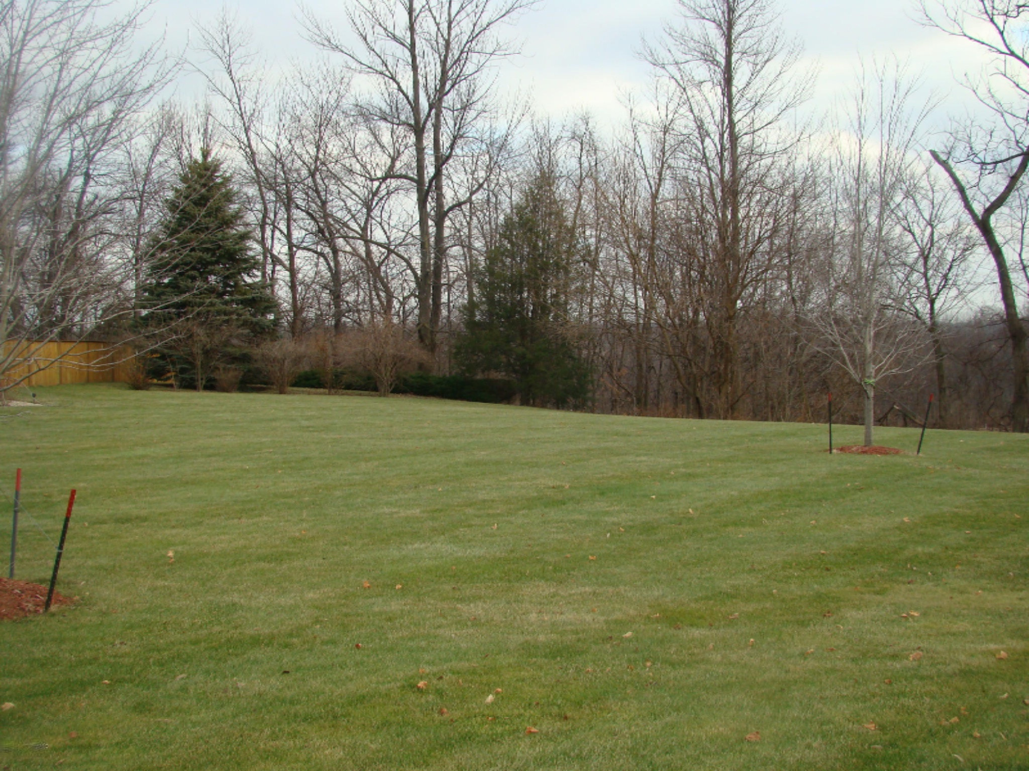 2053 Miners Road St. Joseph, MI 49085 - Photo 62 of 62 DSC04731