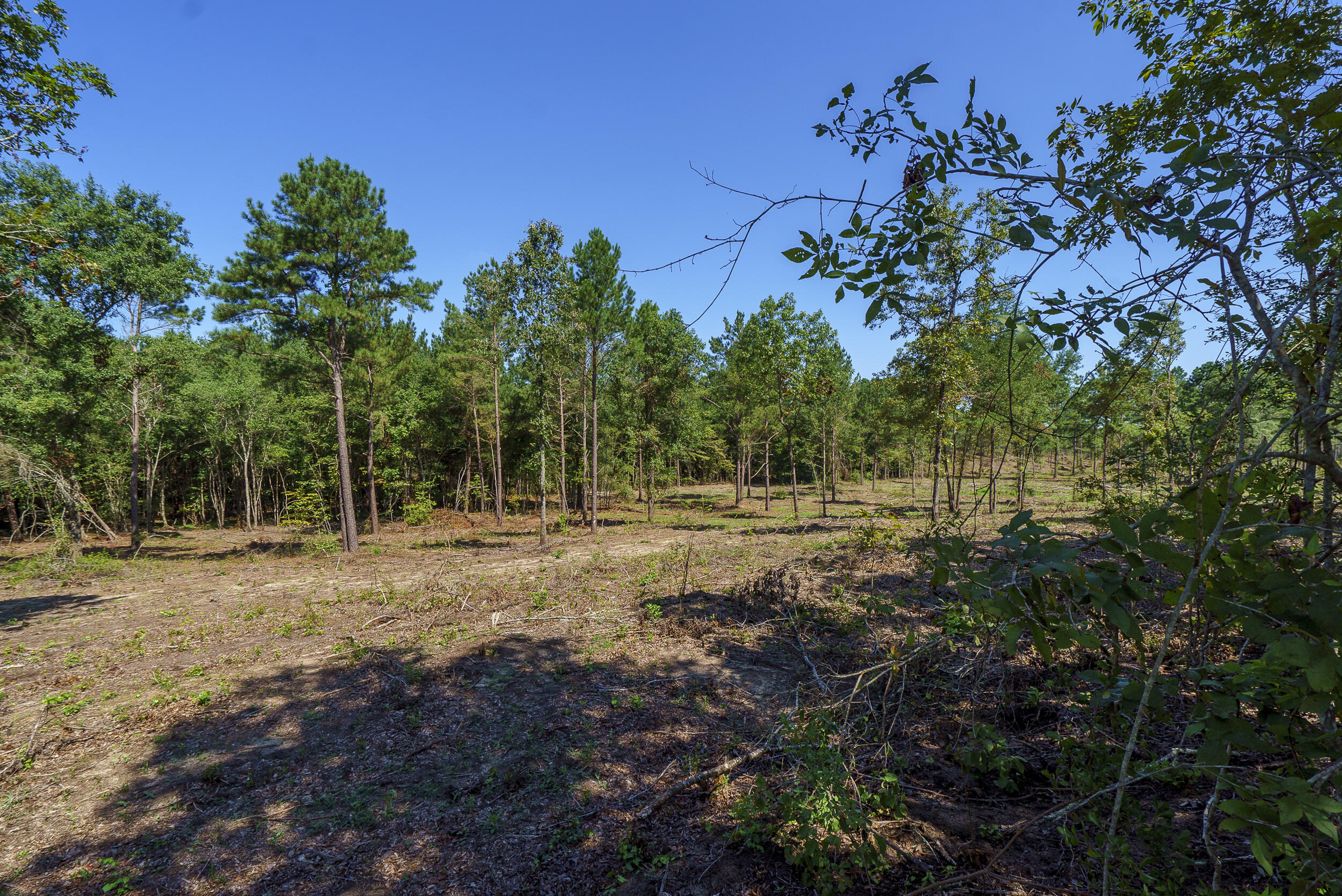 Lot 2 Bluffwood Road Wagener, SC 29164 - Photo 2 of 9