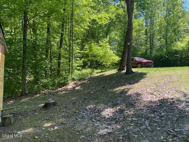45 Weaver Dam Road Petersburgh, NY 12138 - Photo 10 of 21 IMG_5984