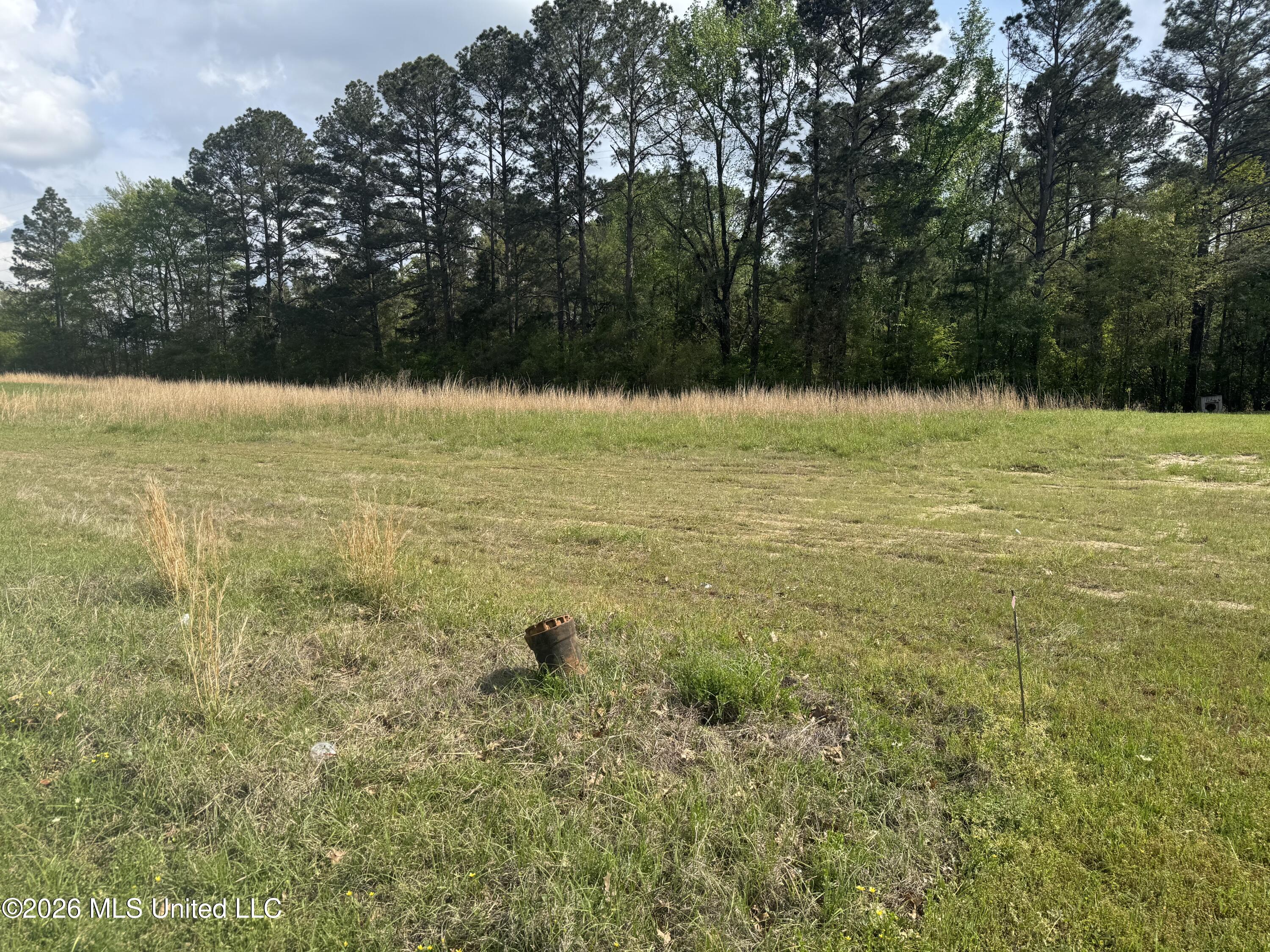 0 River Ridge Parkway Pearl, MS 39208 - Photo 1 of 5 IMG_4506