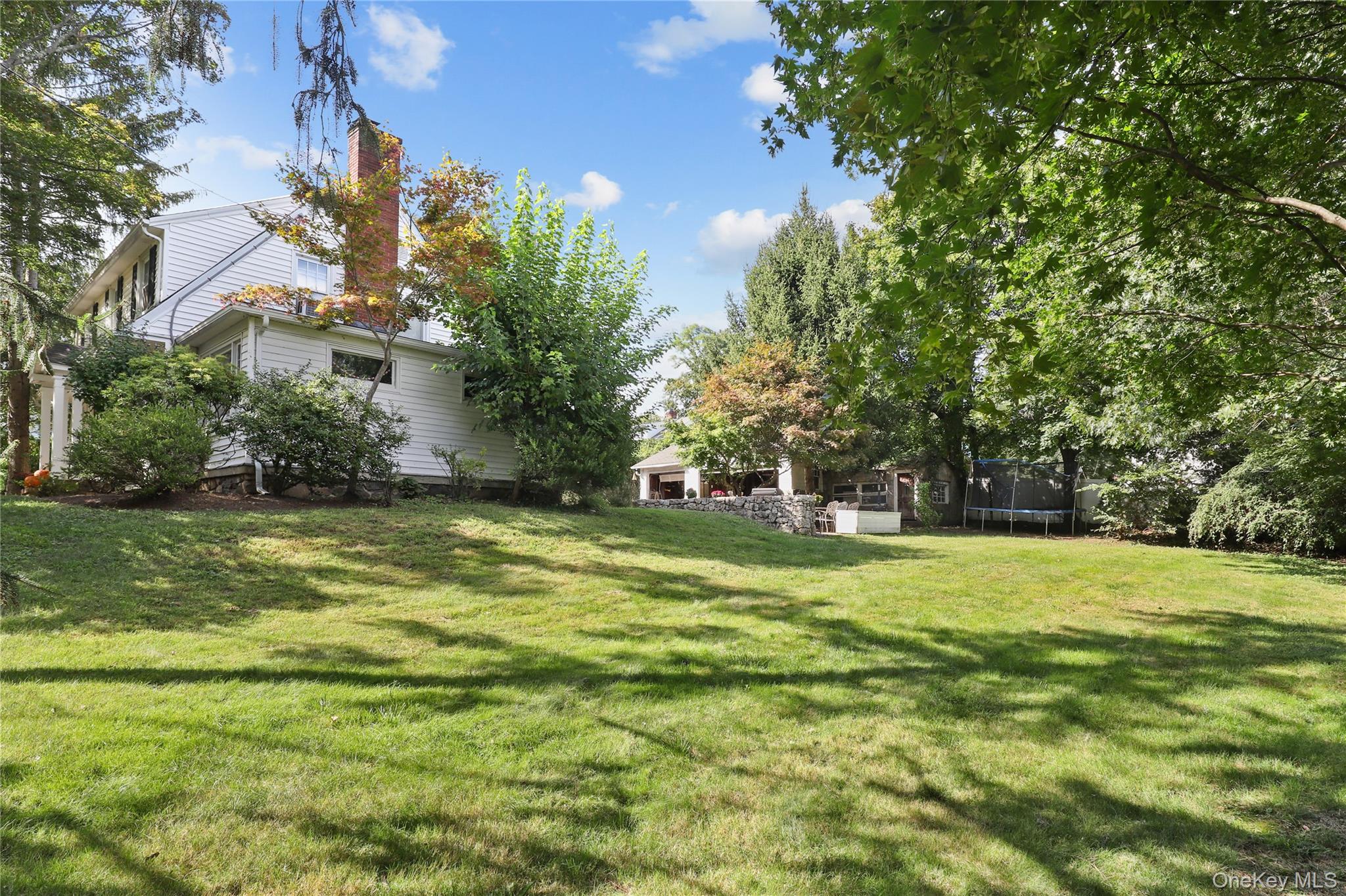 16 Annadale Street Armonk, NY 10504 - Photo 18 of 19 a view of a trees in a yard