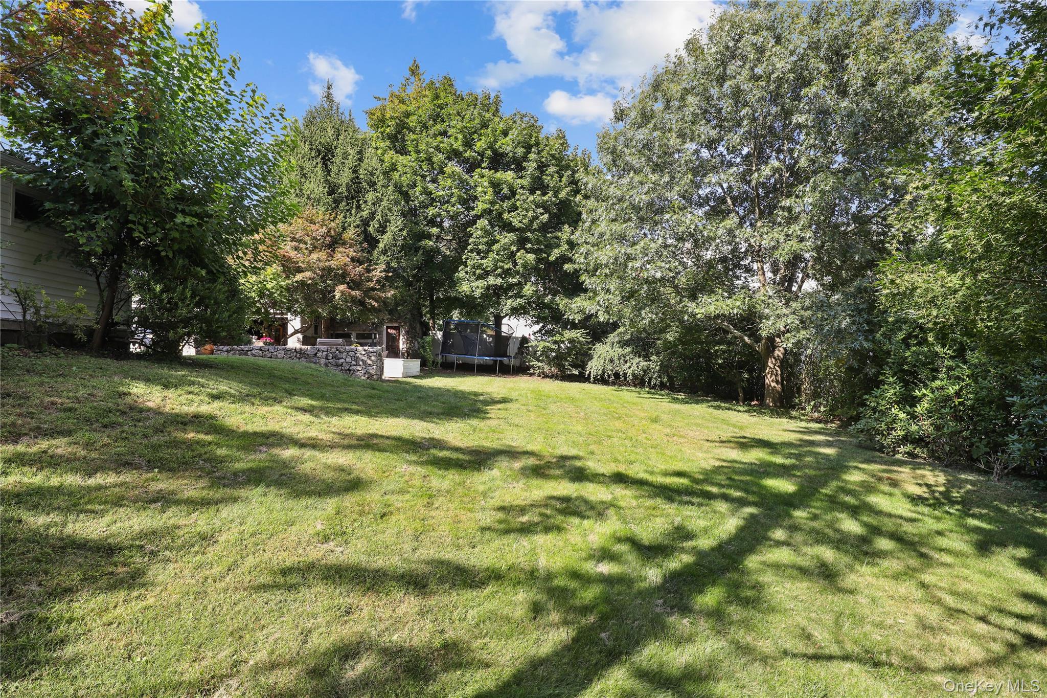 16 Annadale Street Armonk, NY 10504 - Photo 19 of 19 a view of a trees in a yard
