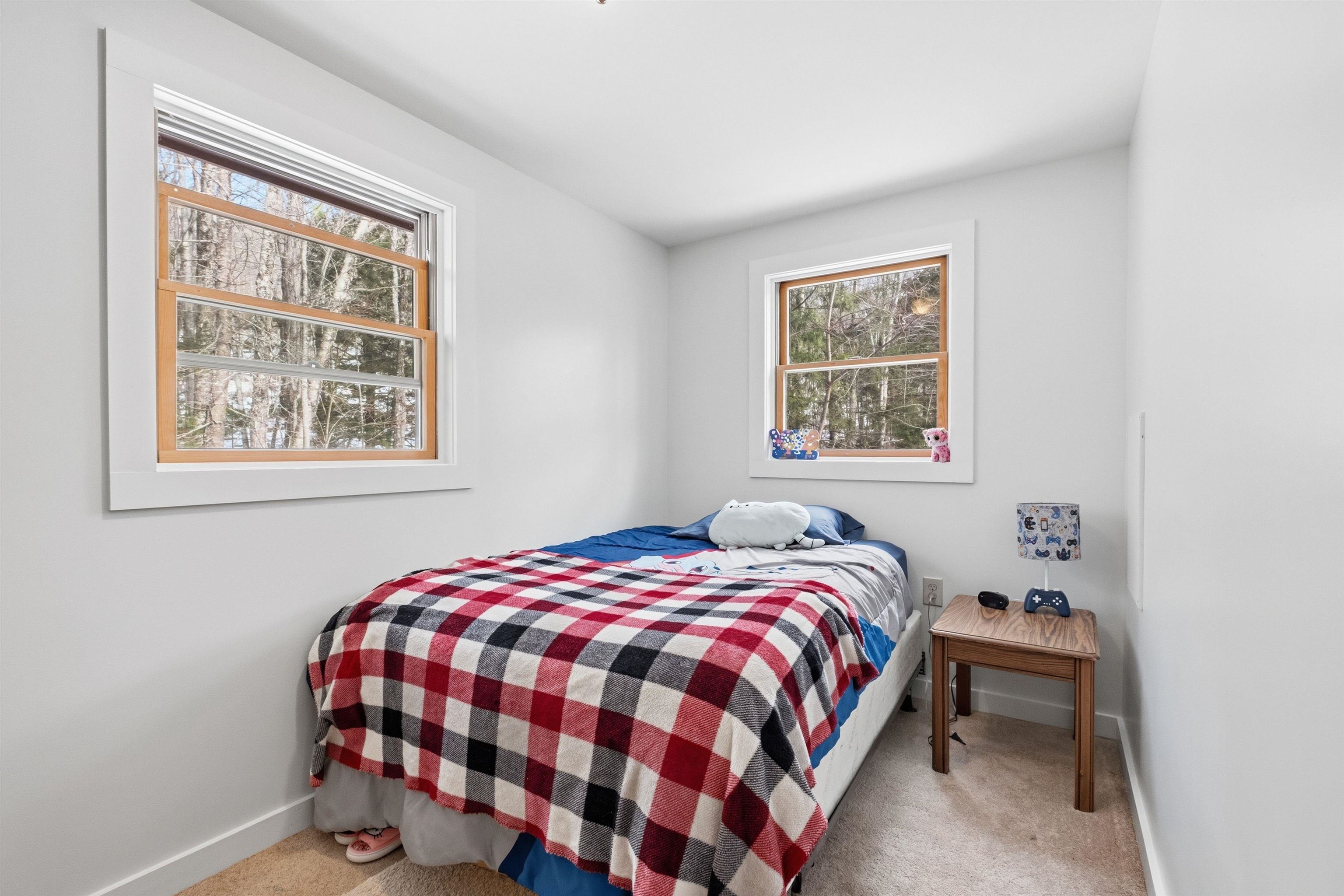 26 Doetown Road Ellsworth, NH 03266 - Photo 30 of 53