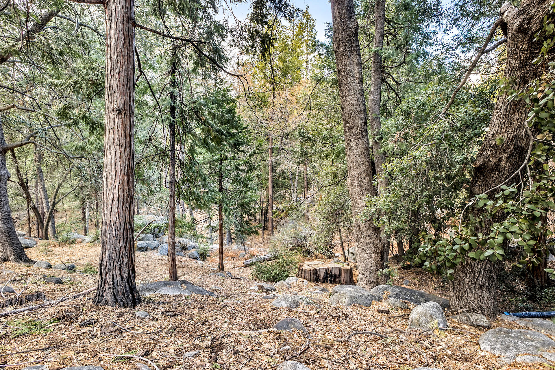 25315 Fern Valley Road Idyllwild, CA 92549 - Photo 65 of 79 IMG_5269