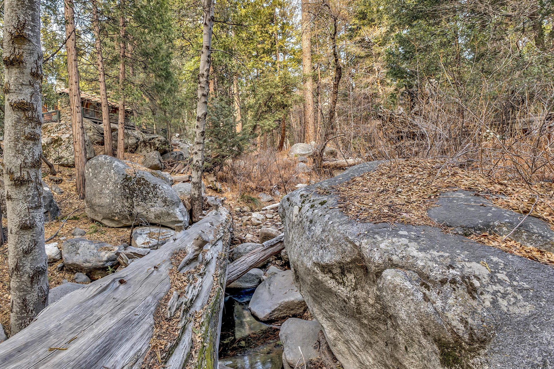 25315 Fern Valley Road Idyllwild, CA 92549 - Photo 66 of 79 IMG_5274