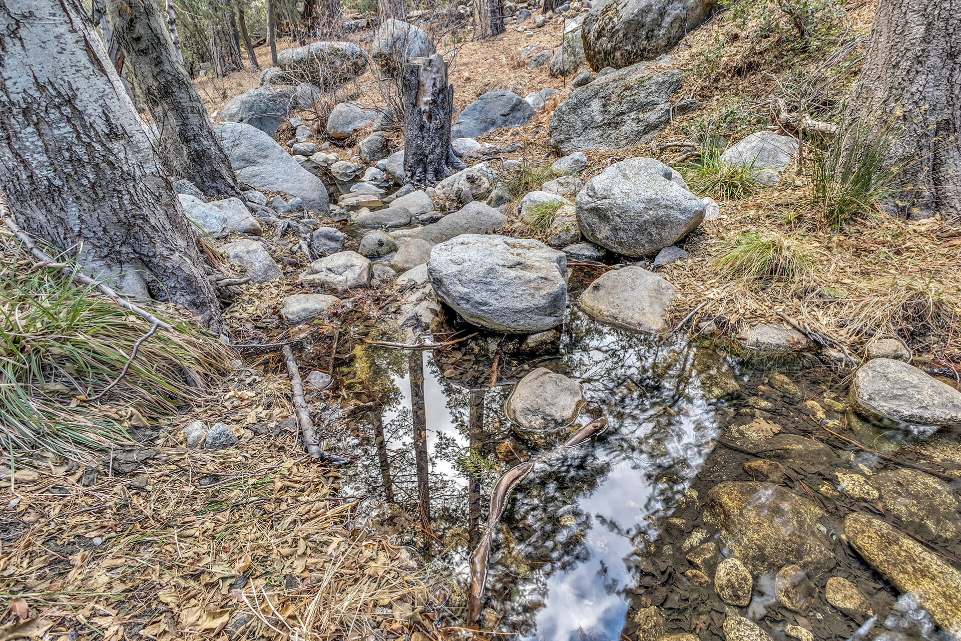 25315 Fern Valley Road Idyllwild, CA 92549 - Photo 67 of 79 IMG_5279