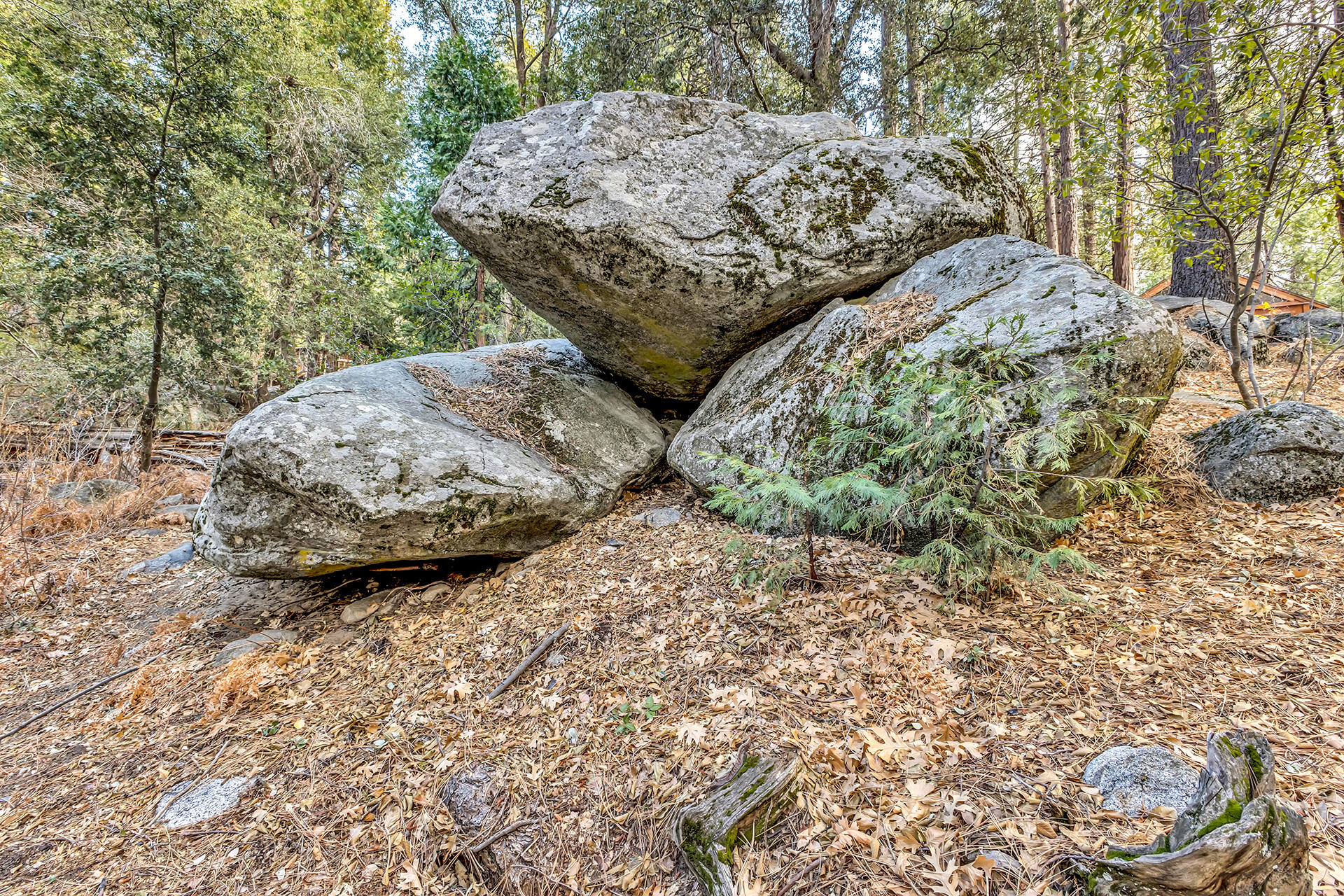 25315 Fern Valley Road Idyllwild, CA 92549 - Photo 68 of 79 IMG_5289