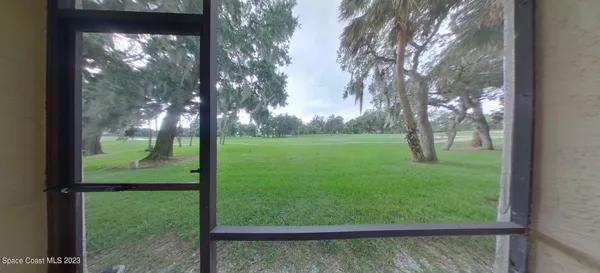 a view of a yard with a tree in the background