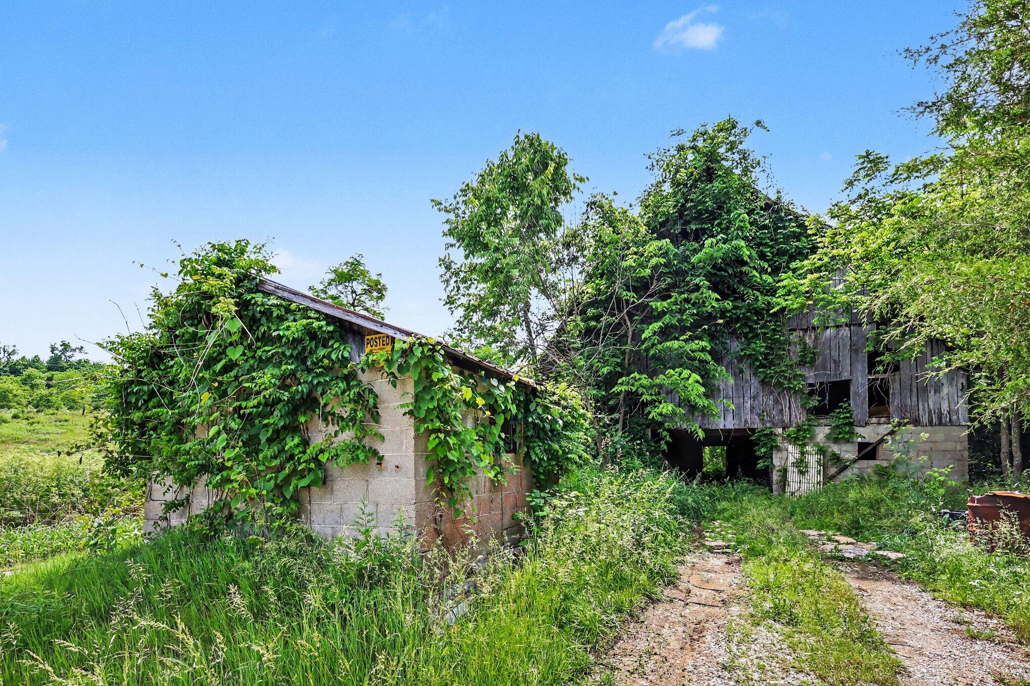 159 & Grimes Road Falmouth, KY 41040 - Photo 8 of 22