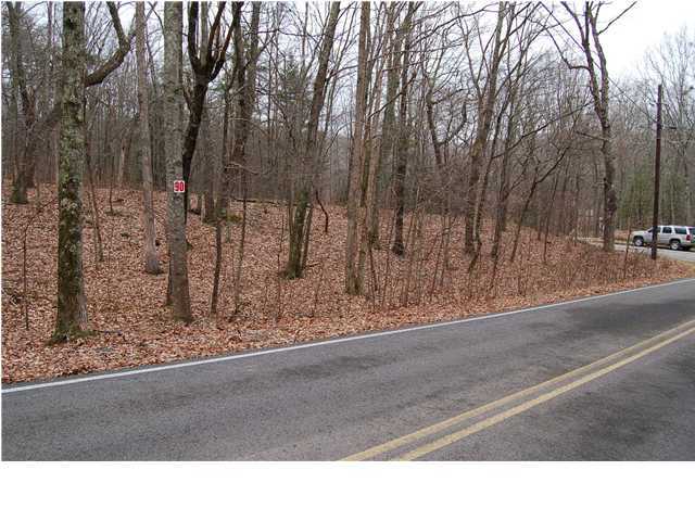 0 Healing Springs Road, Unit 90 Chattanooga, TN 37419 - Photo 1 of 1 Primary Photo