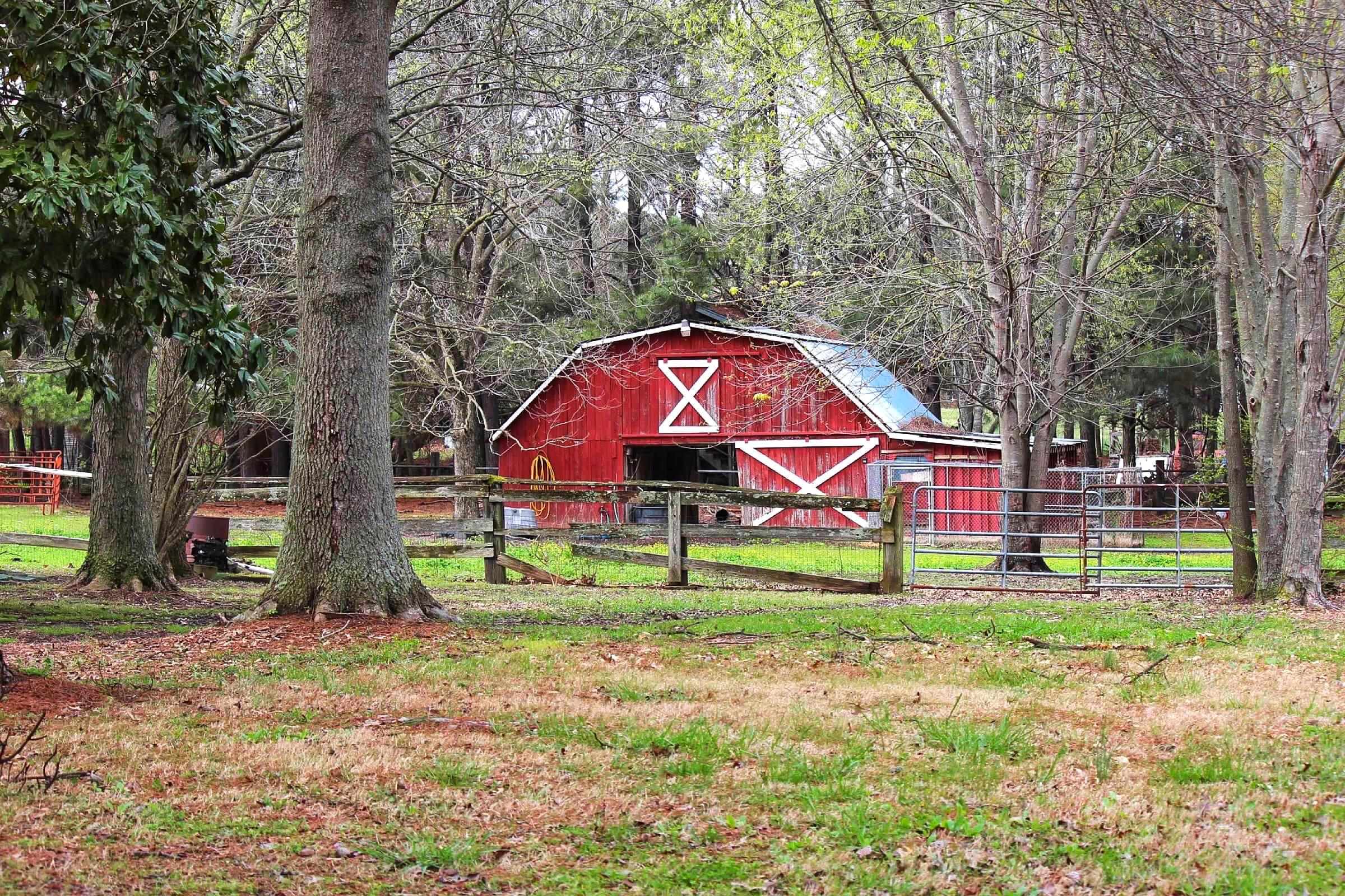 4244 West Union Road Millington, TN 38053 - Photo 12 of 17 Gallery Image 12