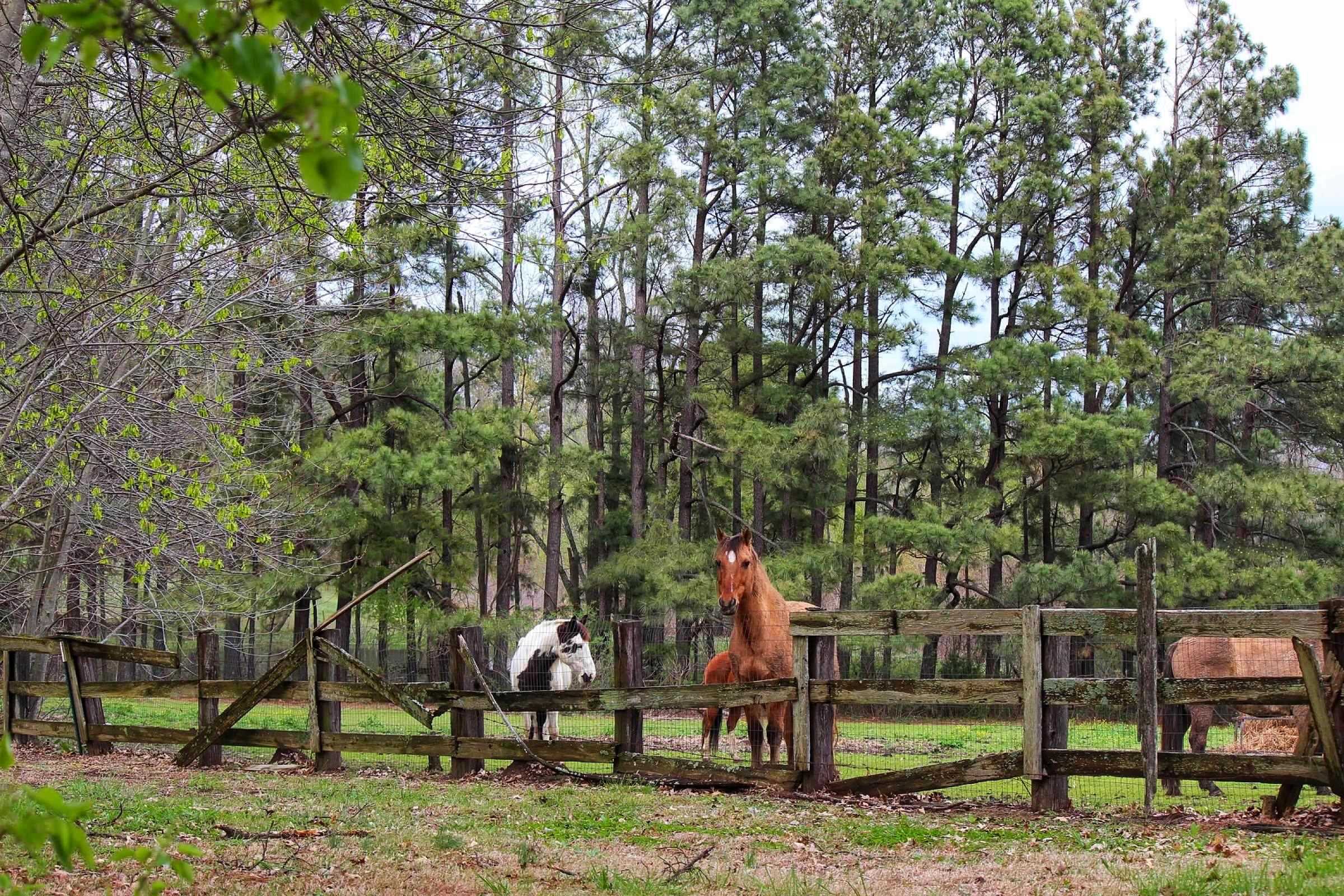4244 West Union Road Millington, TN 38053 - Photo 14 of 17 Gallery Image 14