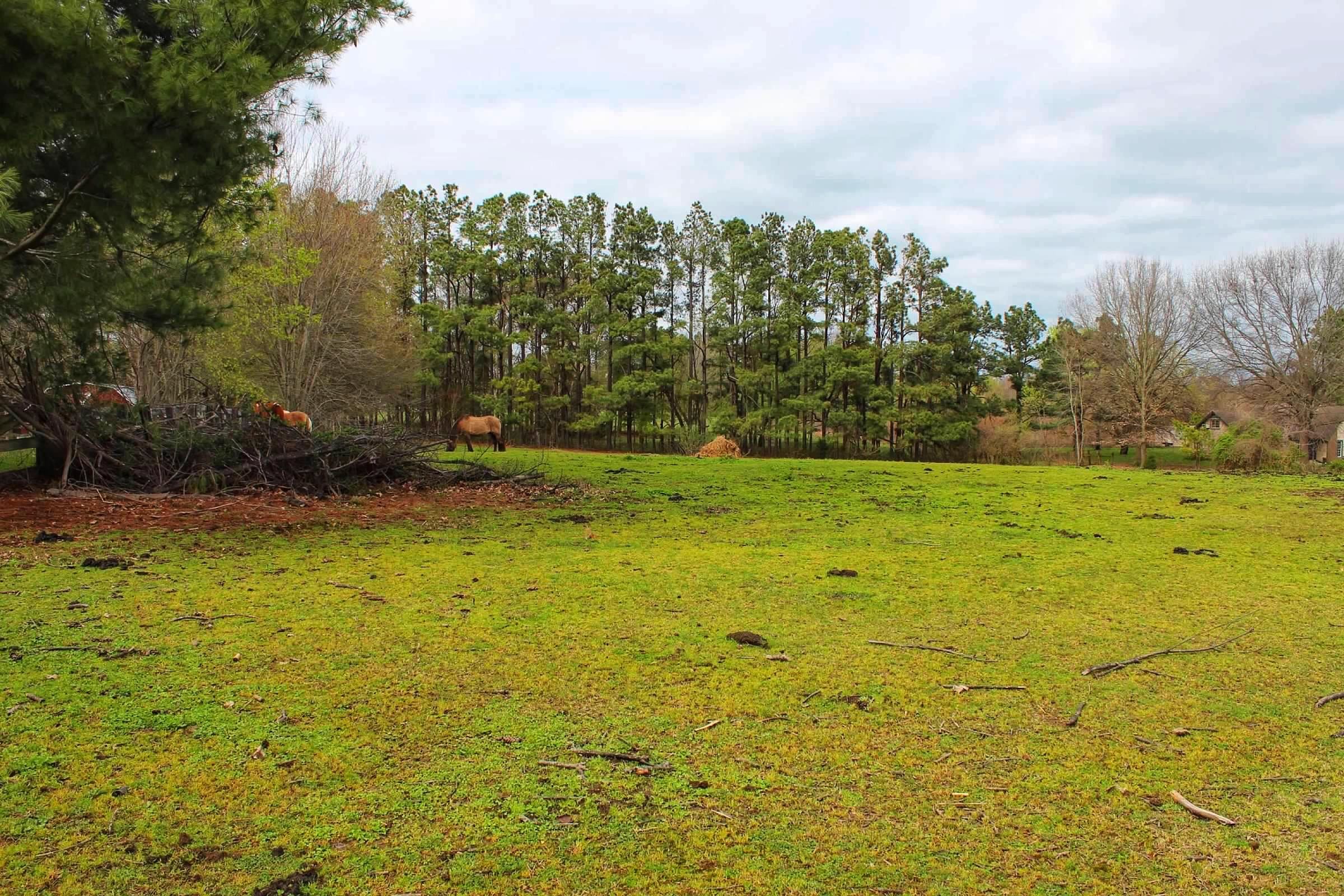 4244 West Union Road Millington, TN 38053 - Photo 17 of 17 Gallery Image 17