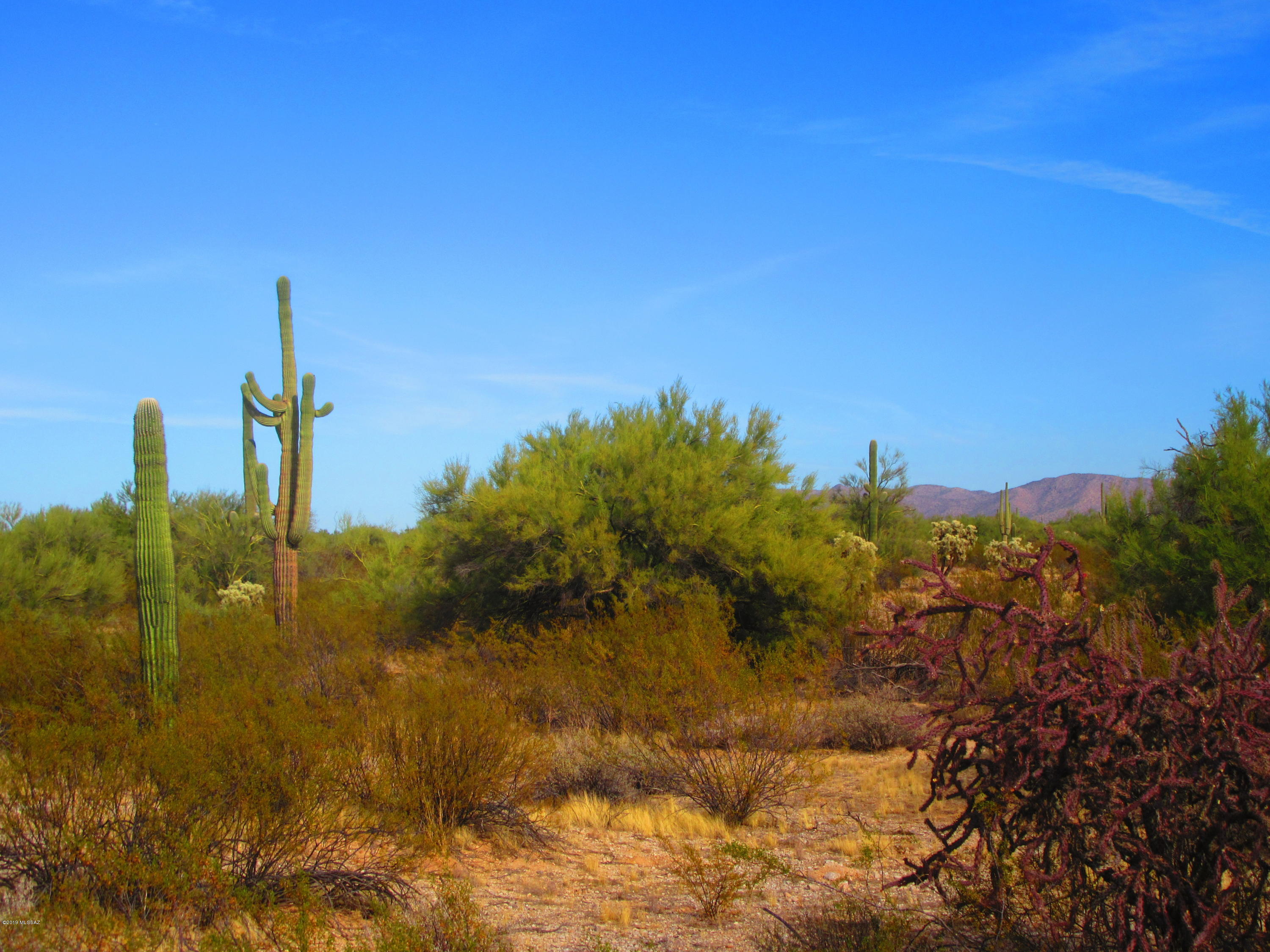 Cattle Tank, Unit 20AC Marana, AZ 85658 - Photo 6 of 17