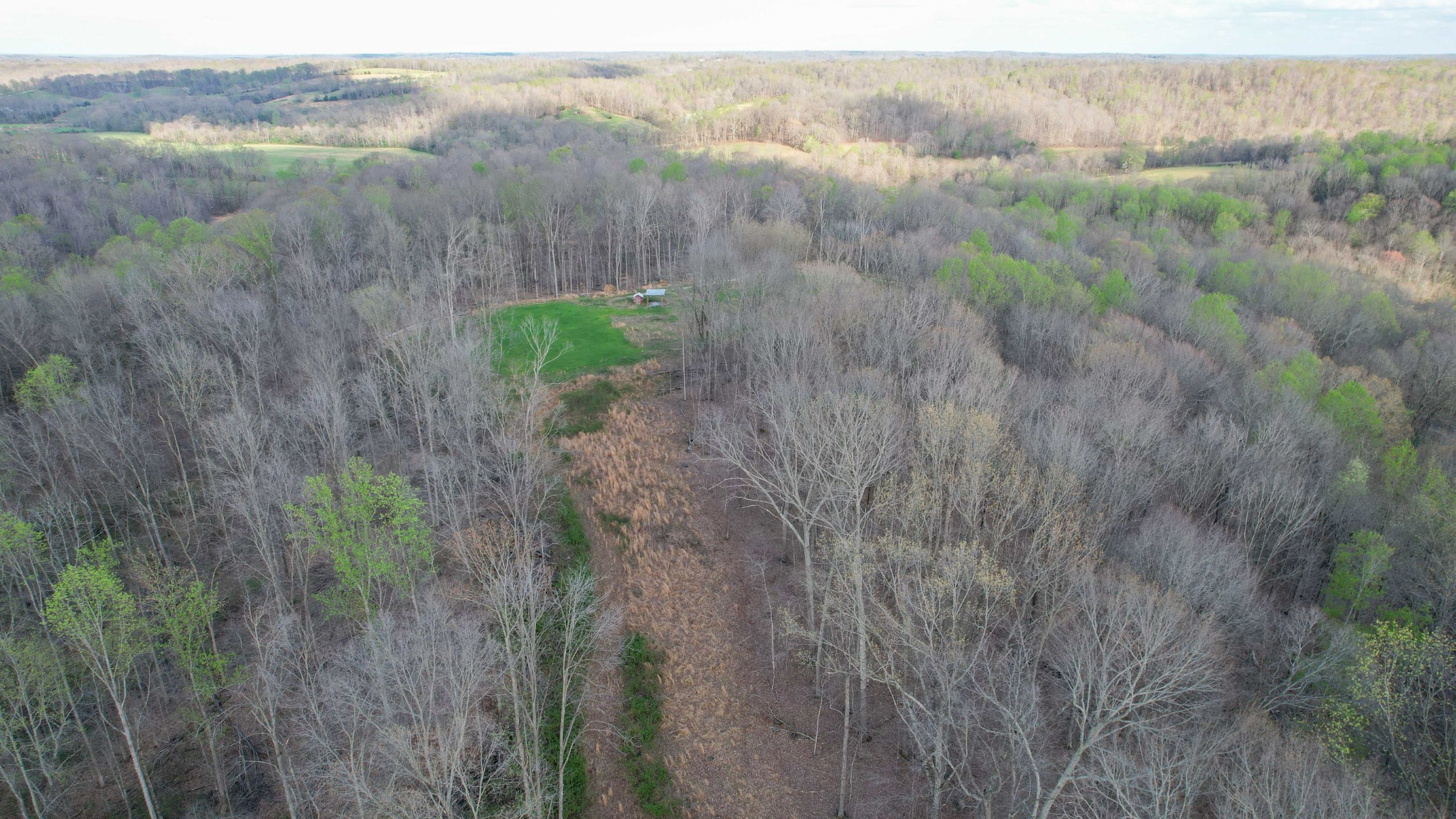 0 Bell Hollow Road Vanleer, TN 37181 - Photo 25 of 31 Gallery Image 25