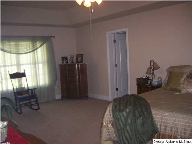 1025 Hidden Forest Lane Montevallo, AL 35115 - Photo 24 of 28