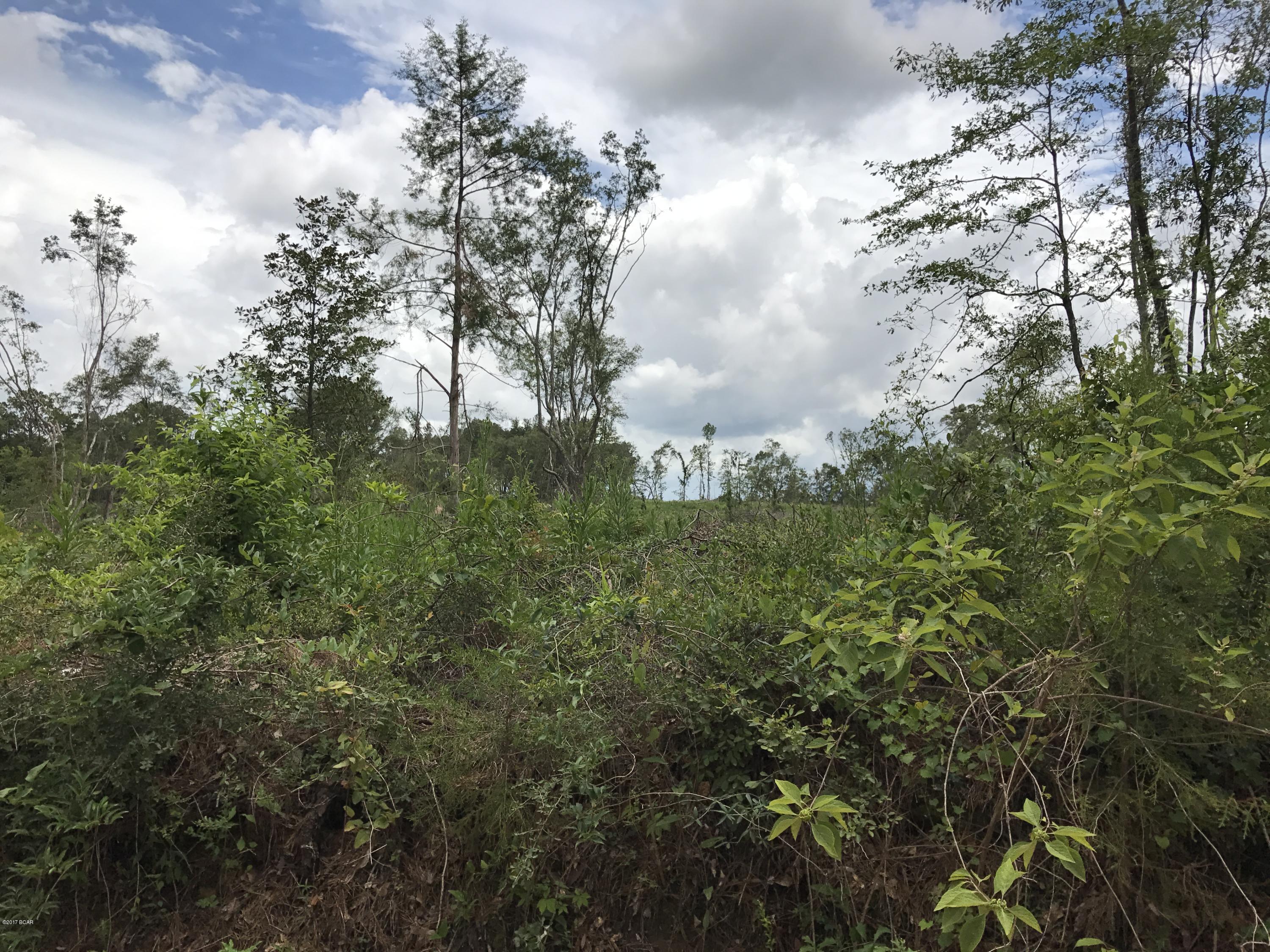 0 Moore Road Cottondale, FL 32431 - Photo 1 of 3
