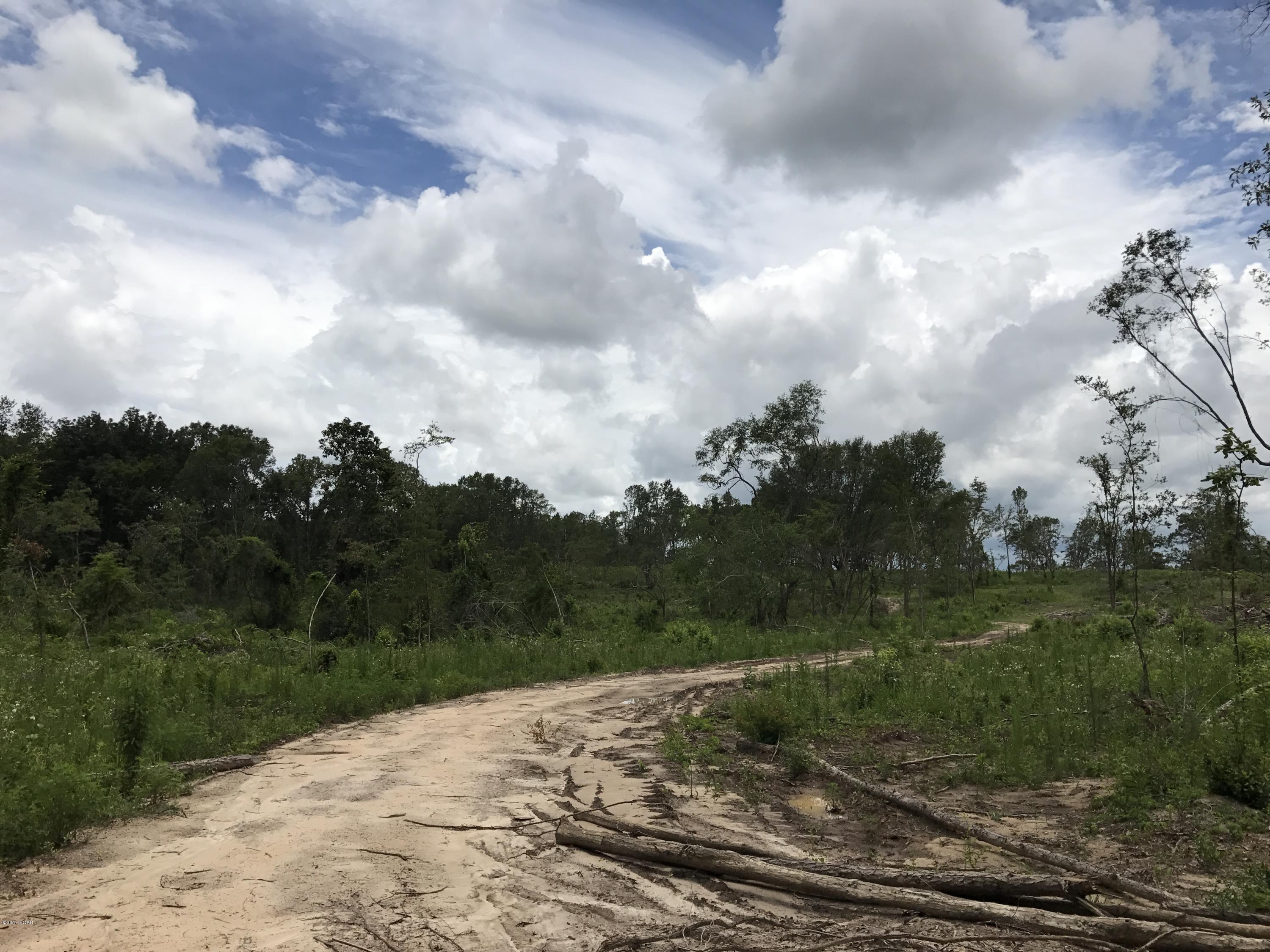 0 Moore Road Cottondale, FL 32431 - Photo 2 of 3