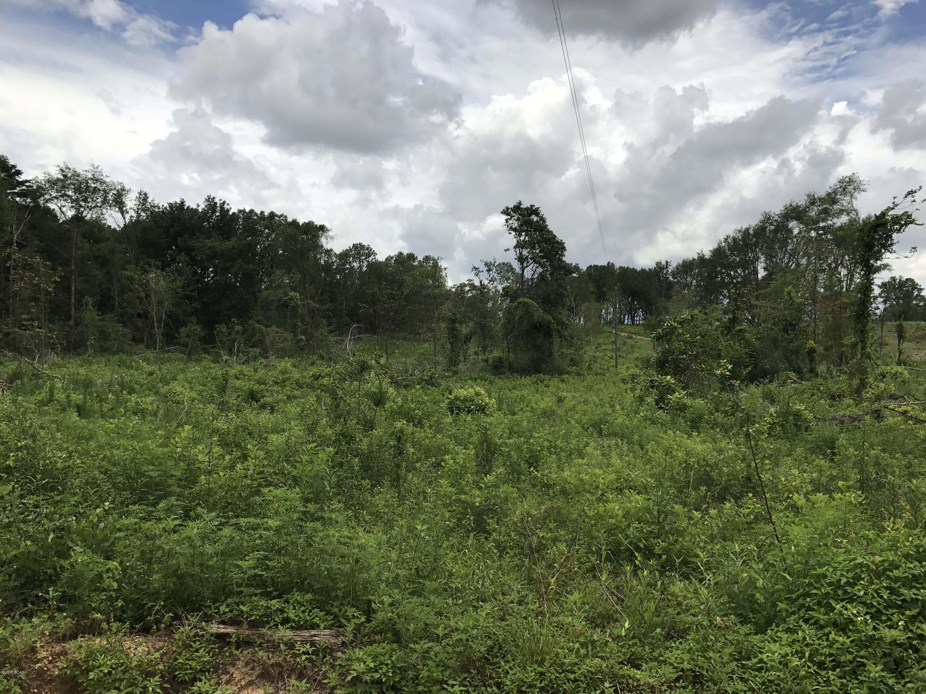 0 Moore Road Cottondale, FL 32431 - Photo 3 of 3