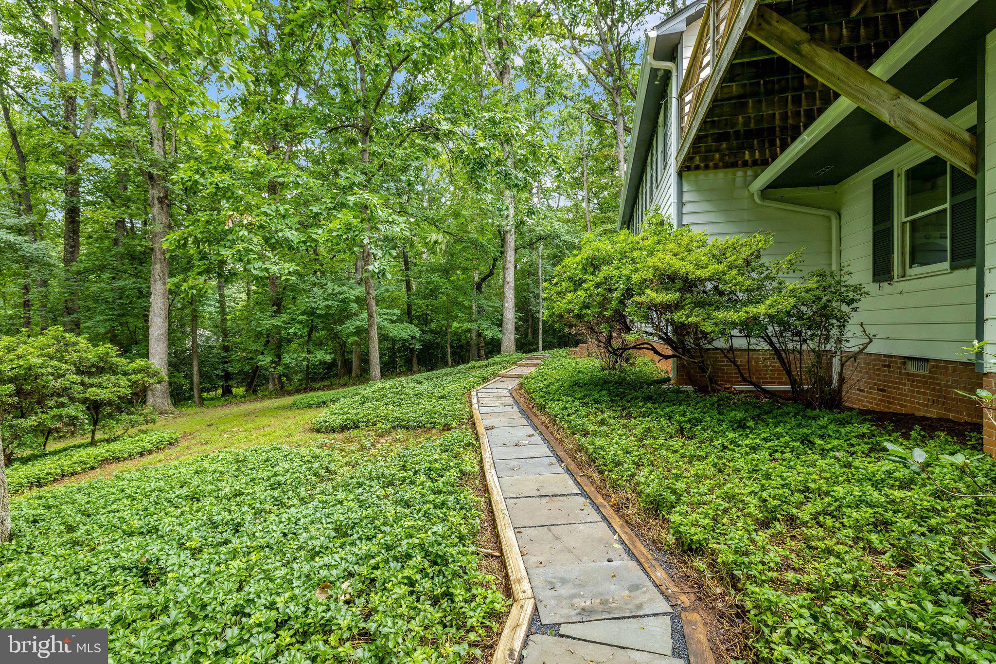 1132 Springvale Road Great Falls, VA 22066 - Photo 63 of 81 Serene pathway through lush greenery.