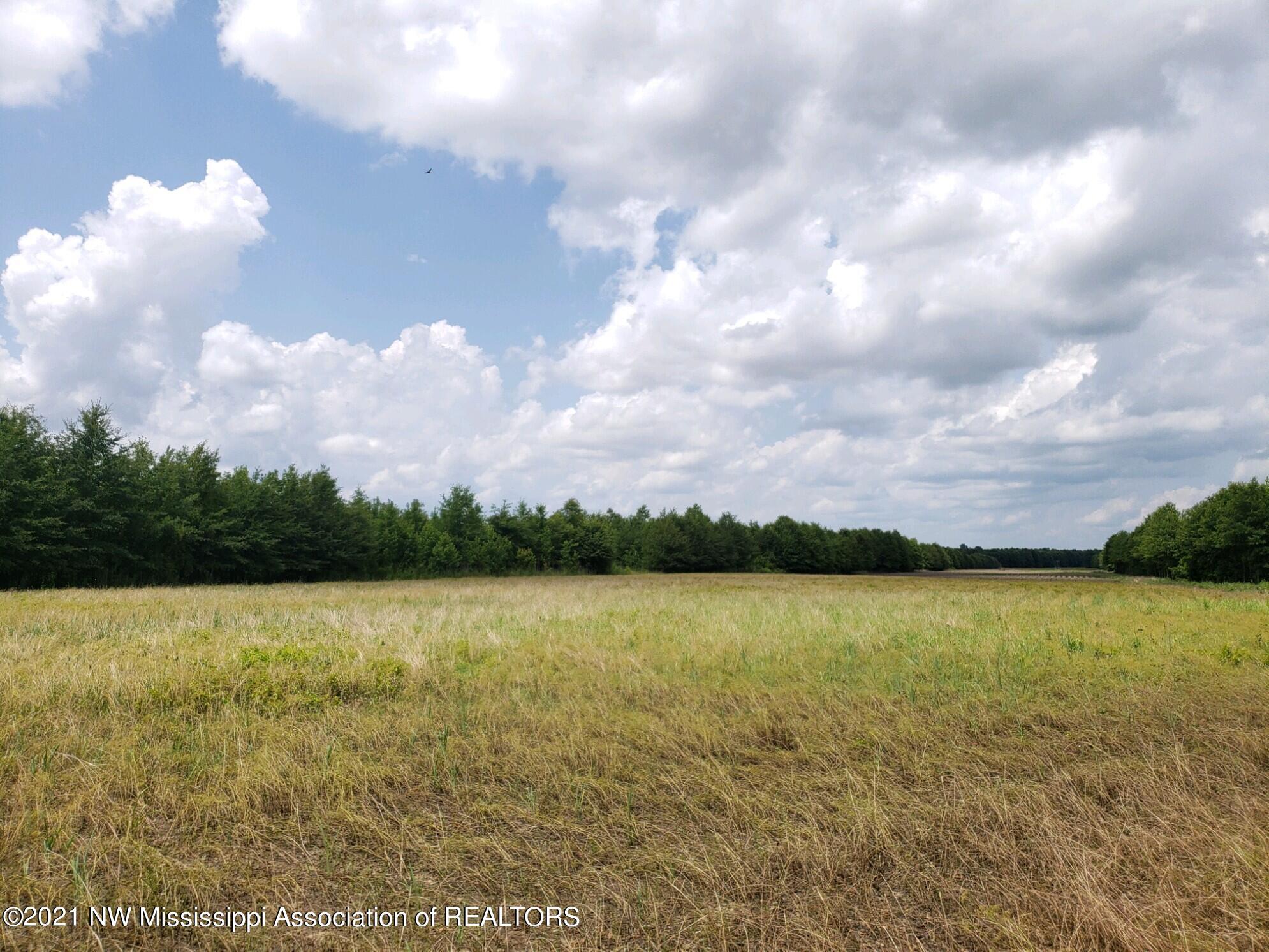 1 Bobo Road Batesville, MS 38606 - Photo 1 of 39 20210708_142928