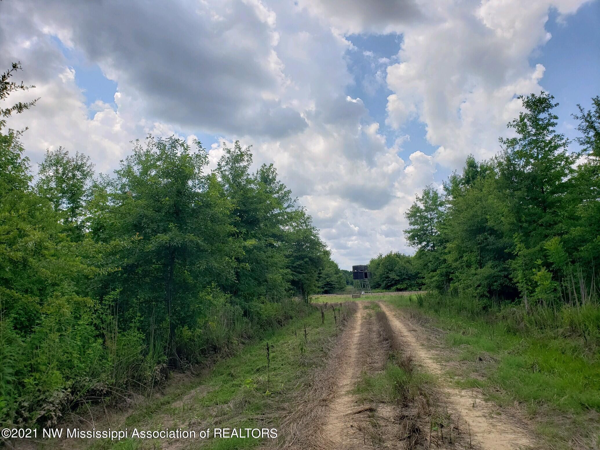 1 Bobo Road Batesville, MS 38606 - Photo 12 of 39 20210708_142206