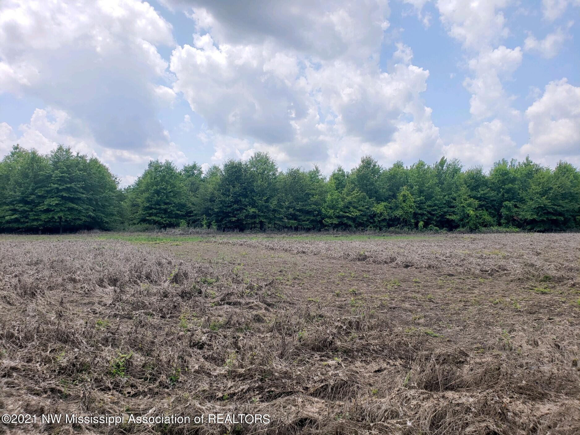 1 Bobo Road Batesville, MS 38606 - Photo 17 of 39 20210708_142414